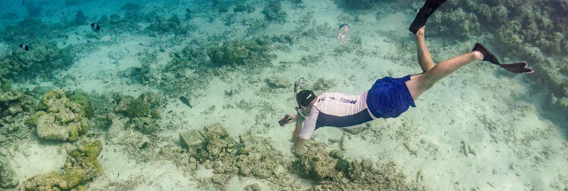 fridykkerforum.dk kontakt